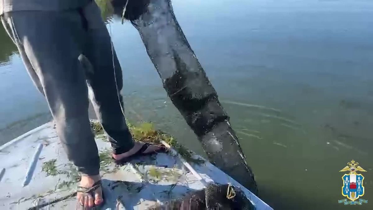 Более тысячи раков спасли на Соколовском водохранилище в Ростовской области, сообщили в МВД по региону