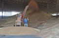 Ростовские аграрии завершают уборку урожая на площади в 3,3 млн га