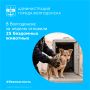 За прошлую неделю, с 27 июля по 2 августа, в Волгодонске отловили 25 безнадзорных животных