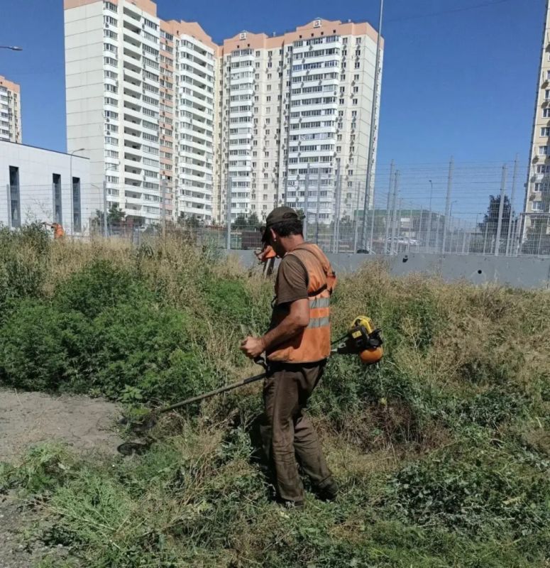 Виталий Ломиворотов: на территории около школы № 74 навели порядок