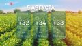 Местами сильный дождь и до +37 °С: какая погода ждёт дончан сегодня?