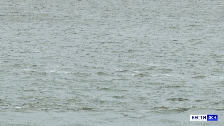 На пяти пляжах Таганрога нефтепродуктов в воде залива не обнаружили