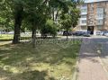 В Ростове из Покровского сквера исчезли серебристые клены