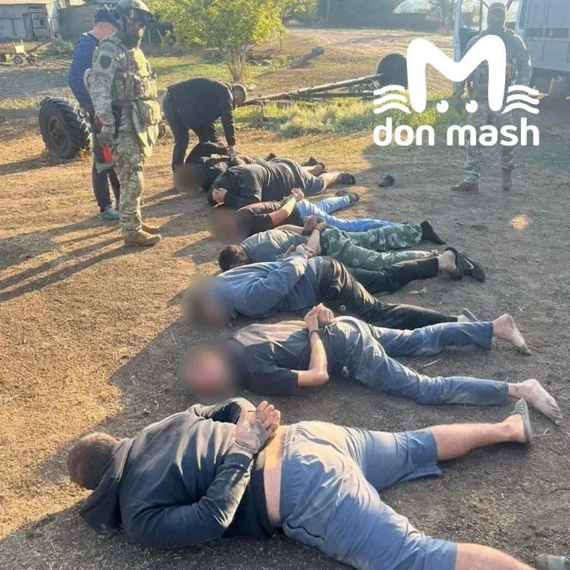Воры угнали 59 коров и быков с пастбищ в Ростовской и соседних областях