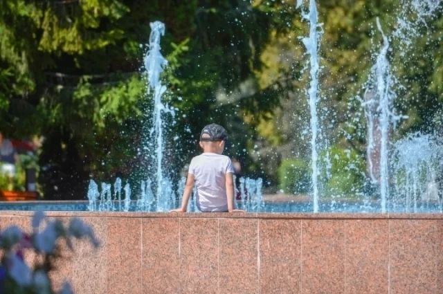 8 августа в Ростовской области будет до +37 °C
