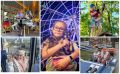 Одна фотография, которая стоила приза