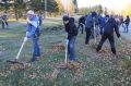 В Ростове после непогоды убрали 150 деревьев и 370 тонн мусора