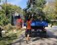 Об итогах общегородского субботника в парках и зоопарке