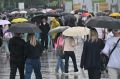 В понедельник в Ростове возможен краткий дождь с грозой