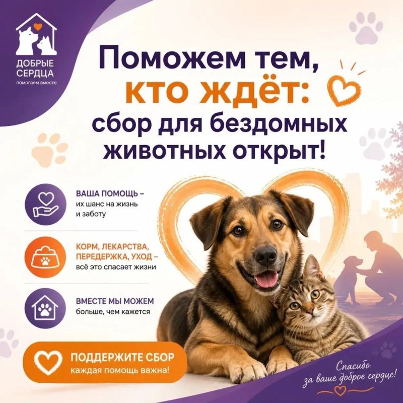 АНО «Финист» объявляет акцию по сбору помощи для бездомных животных