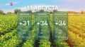 До +33 °C и небольшой дождь: какая погода ждёт дончан сегодня?