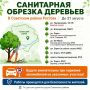 Внимание! В Советском районе Ростова будут проводить санитарную обрезку деревьев