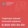 До 3 сентября в Ростовской области продлено ограничение пребывания граждан в лесах, а также въезд транспортных средств