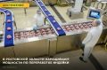 В Ростовской области начнут производить больше стейков, филе голени и мелкокусковых полуфабрикатов индейки