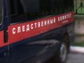 По факту убийства девочки-подростка в Красносулинском районе возбудили уголовное дело