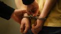 Суд арестовал обвиняемого в убийстве 14-летней девочки под Ростовом