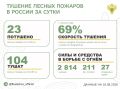 За прошедшие сутки в 12 регионах России потушили 23 лесных пожара