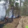 Лесной пожар в Верхнедонском лесничестве, который начался 17 августа, удалось остановить сегодня в 11:30