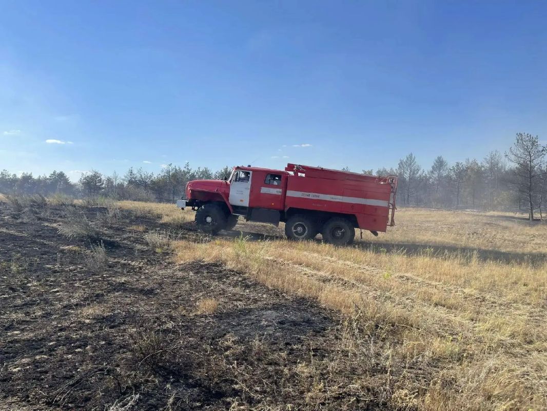 Площадь пожара в Верхнедонском лесничестве со вчерашнего вечера увеличилась до 310 га. Данные на 7:30 утра 18 августа публикует МЧС Ростовской области