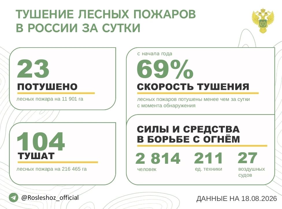 За прошедшие сутки в 12 регионах России потушили 23 лесных пожара
