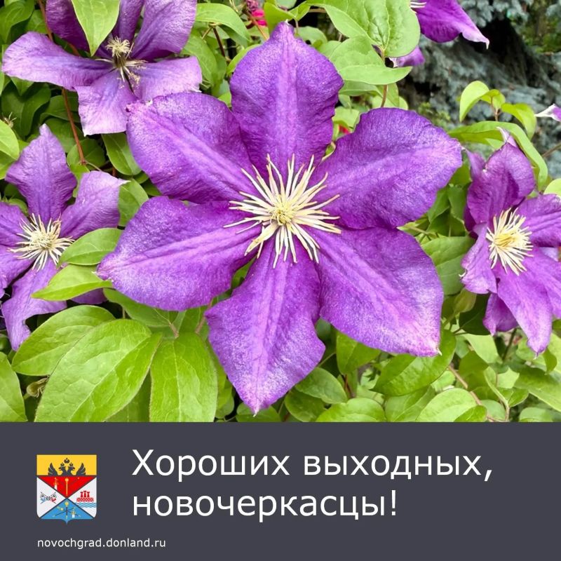 Суббота, 22 августа порадует ясной погодой, осадков не ожидается