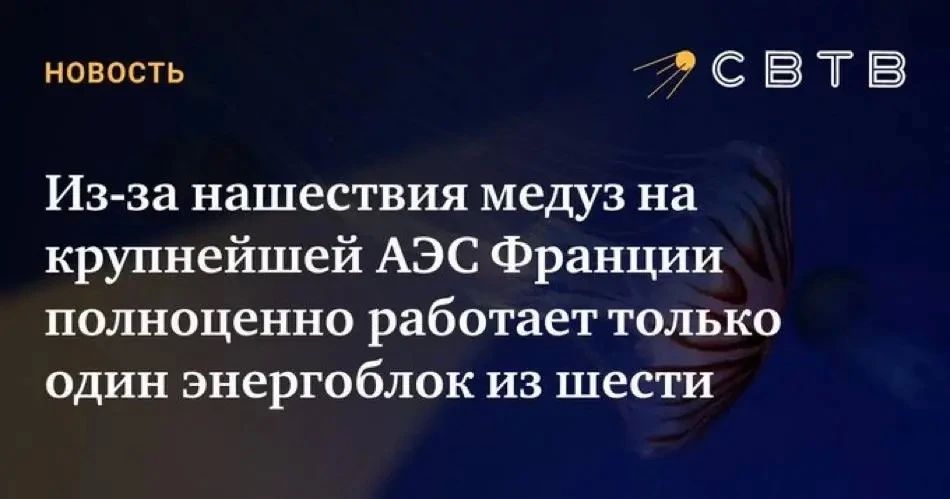 Виктория Мельникова: А в Таганрогском заливе пропали медузы…вывезли?