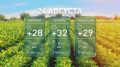 Солнечно и до +33°С: прогноз погоды в Ростовской области на 24 августа