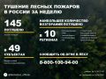 По данным Авиалесоохраны, подведомственной организации Рослесхоза, за прошедшую неделю потушено 145 лесных пожаров в 26 регионах России