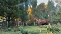 Ой, ростовчане! Эта неделя — последняя неделя лета