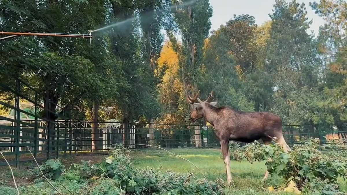 Ой, ростовчане! Эта неделя — последняя неделя лета
