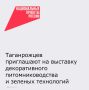 � 17 �� 19 �������� ������� ������ ������������� �������� ������������� ���������������� � ������� ���������� ���� ���������� � �������߻