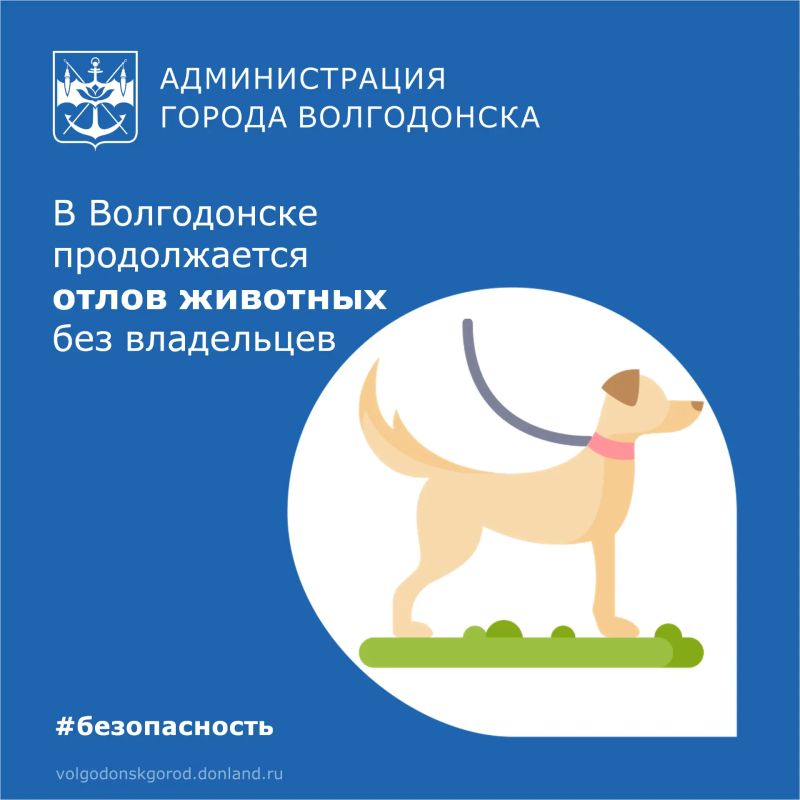 С 17 по 23 августа на территории Волгодонска специалисты отловили 24 безнадзорных животных