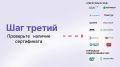 Цифровая трансформация в грузоперевозках: что важно знать бизнесу?