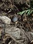 � ����������� �������� ������������� � ���������� ������������ ����������