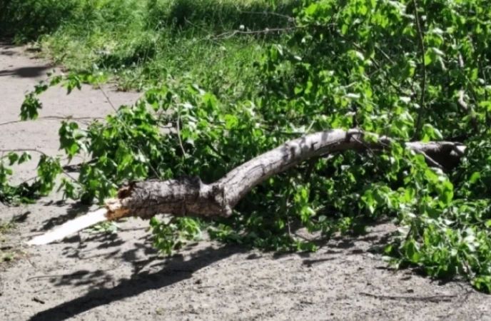 На ликвидацию последствий урагана в Ростове направят почти 50 млн рублей
