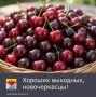 Суббота, 29 августа порадует ясной погодой, переменной облачностью, без осадков
