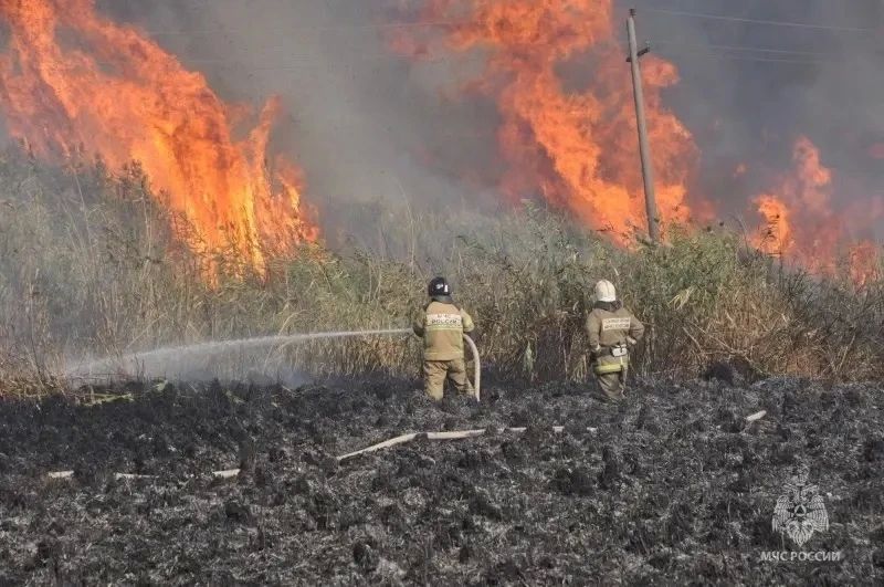 Донское МЧС напоминает, в регионе действует особый противопожарный режим
