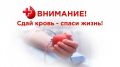«Кровное дело»