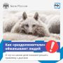 Юридические компании помогают людям решать финансовые проблемы, в том числе реструктуризировать просроченную задолженность