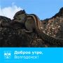 Пусть пятница будет солнечной и радостной!