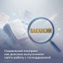 Министерство труда и соцразвития Ростовской области предлагает выпускникам, семьям или одиноким гражданам с доходом ниже прожиточного минимума (17 803 рубля в 2026 году в регионе) заключить социальный контракт для поиска...