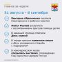 Главные события за неделю в Новочеркасске