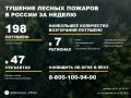 По данным Авиалесоохраны, подведомственной организации Рослесхоза, за прошедшую неделю потушено 198 лесных пожаров в 34 регионах России
