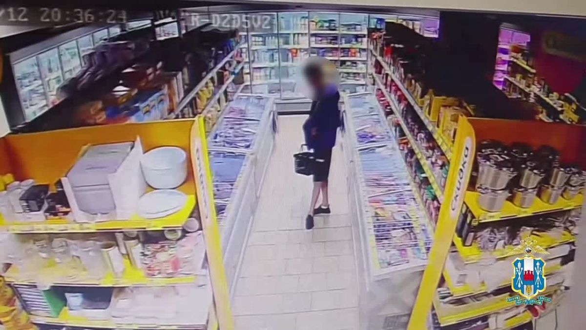 «Унес с витрины»: ростовские полицейские раскрыли кражу из магазина