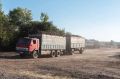 На Дону поздние зерновые культур убрали на 22,5 тыс
