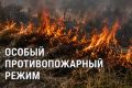 Одна искра — и огонь уже не остановить