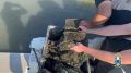 � ������������ ������ ����������� ������ 56 ���������� ������� ��� �����, �������� ��� �������