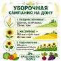 Активная уборка поздних зерновых и масличных культур началась в Ростовской области