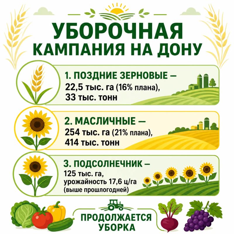 Активная уборка поздних зерновых и масличных культур началась в Ростовской области