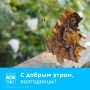 Доброе утро!. Продуктивного дня и хорошего настроения